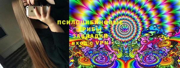 сатива Балахна