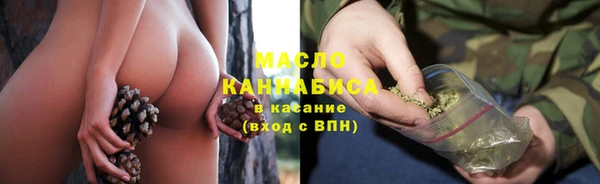 сатива Балахна