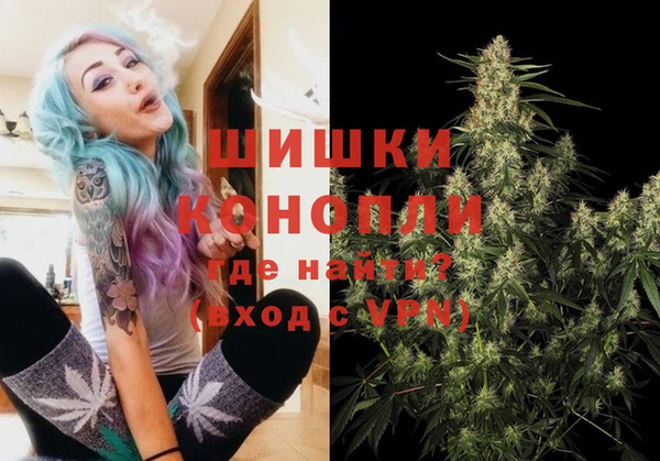 сатива Балахна