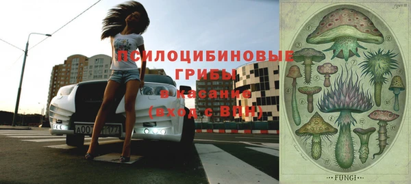 бутират Баксан