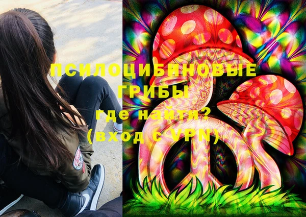 сатива Балахна