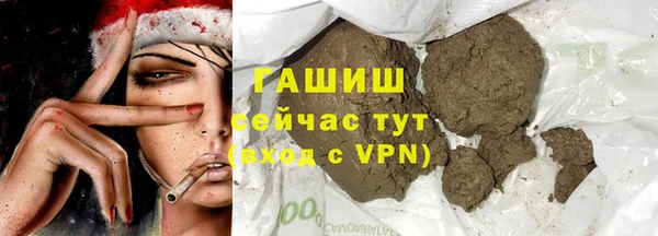 сатива Балахна