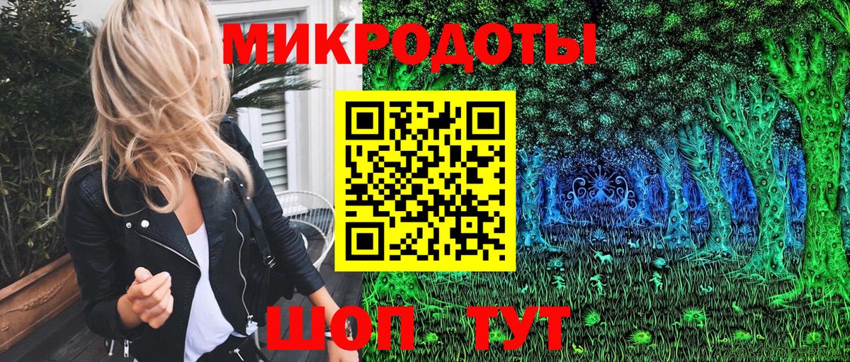 Галлюциногенные грибы Psilocybine cubensis  Красноперекопск 