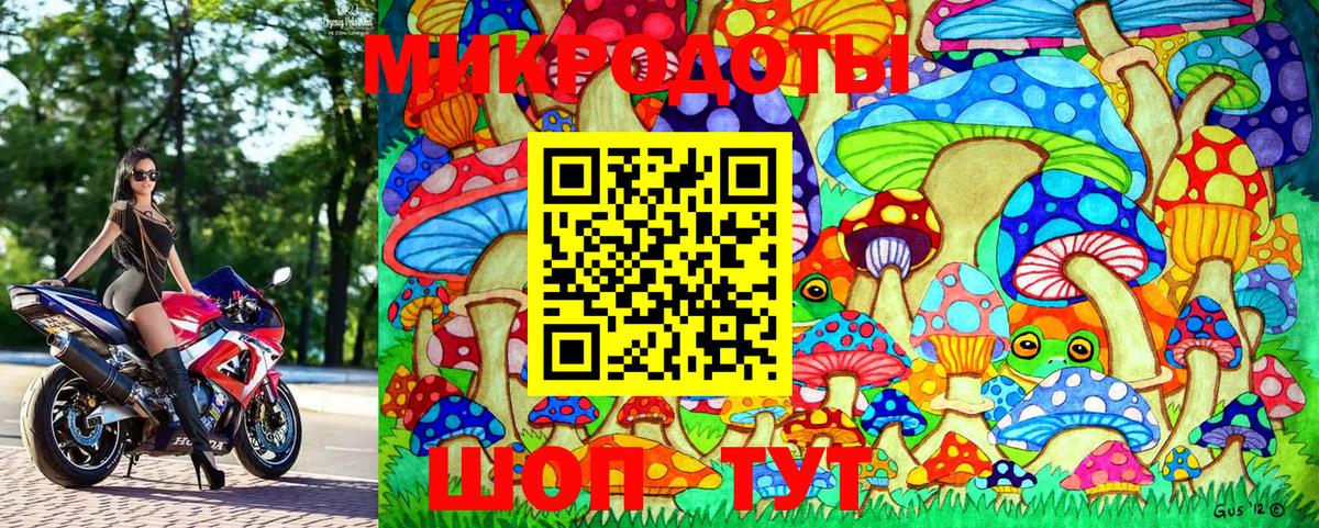 Псилоцибиновые грибы прущие грибы Красноперекопск