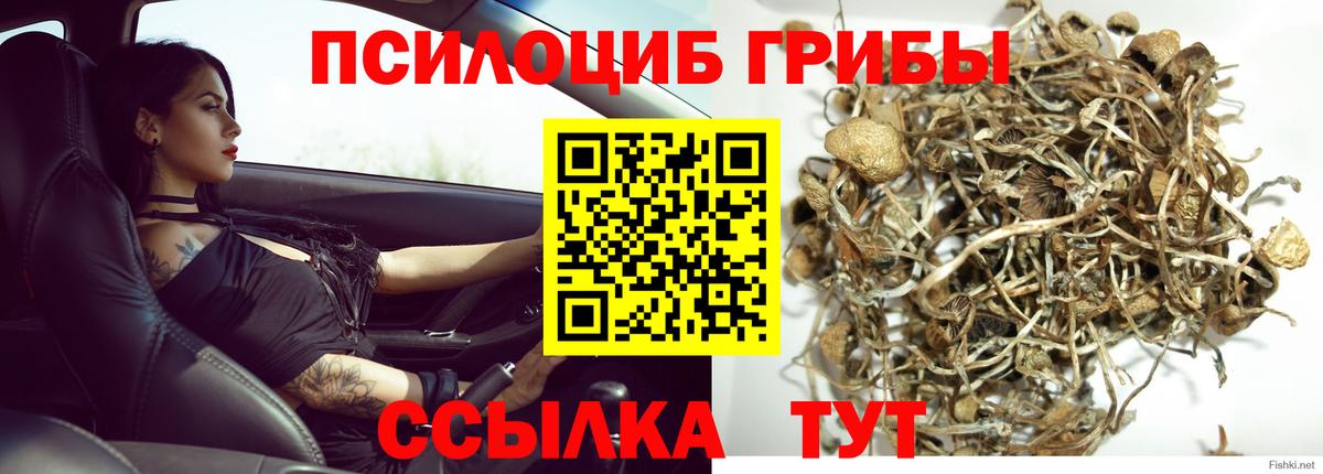 Красноперекопск  Галлюциногенные грибы мухоморы  Галлюциногенные грибы мухоморы  Вход с VPN 