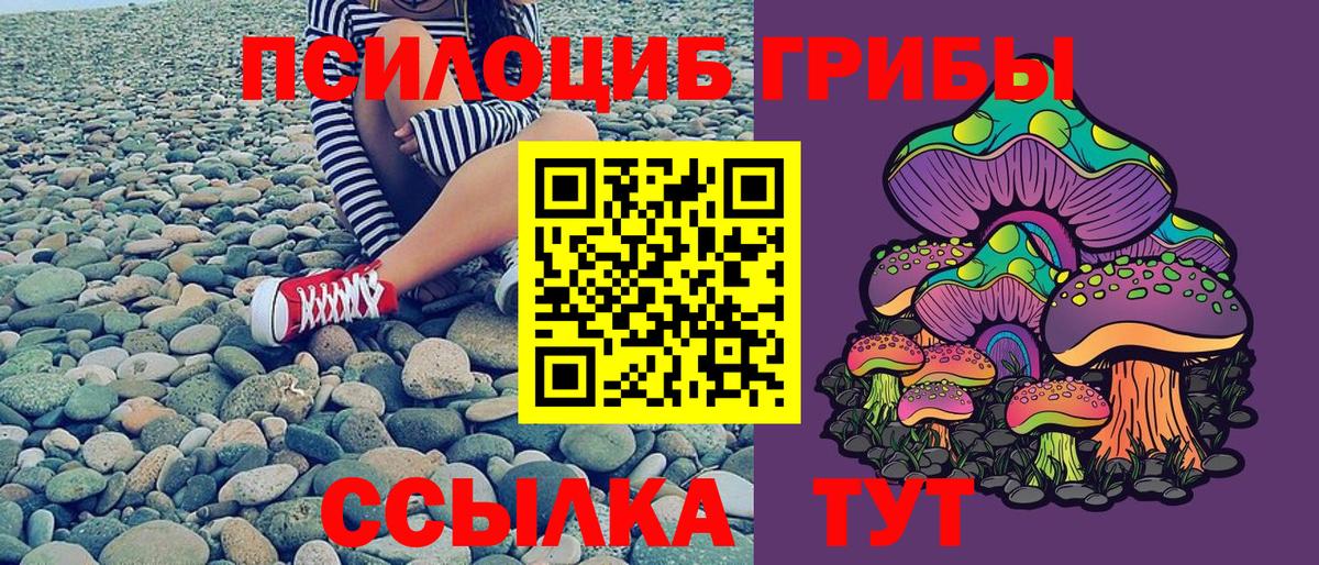 Псилоцибиновые грибы GOLDEN TEACHER Красноперекопск