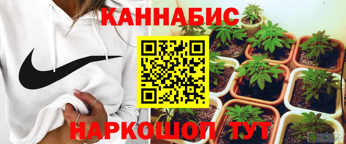 Марихуана сатива Красноперекопск